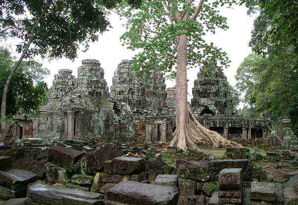 Temple après la pluie